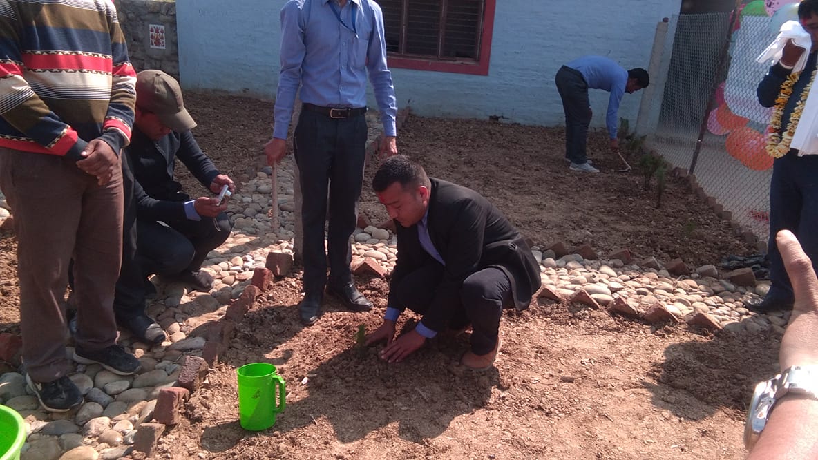 द शनराईज इङ्लिस बोर्डिङ स्कुलमा बृक्षारोपन