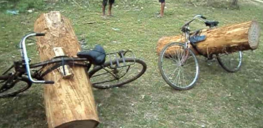 तस्कारी गरेर लग्दै गरेको  अवस्थामा काठका गोलिया बरामद , तस्कर फरार