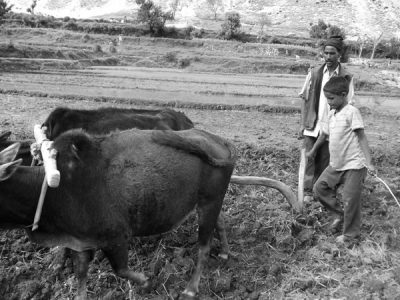निर्माणाधीन घर तोडफोड