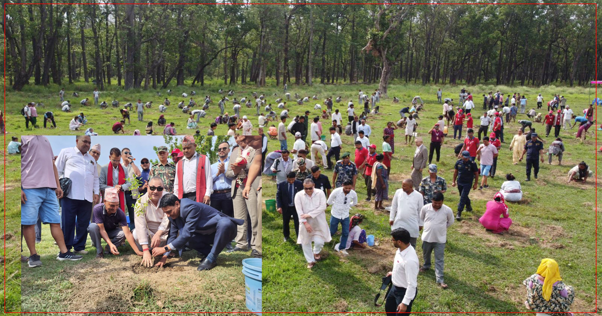 विश्व वातावरण दिवस : बल्चौरमा २ हजार वृक्षारोपण